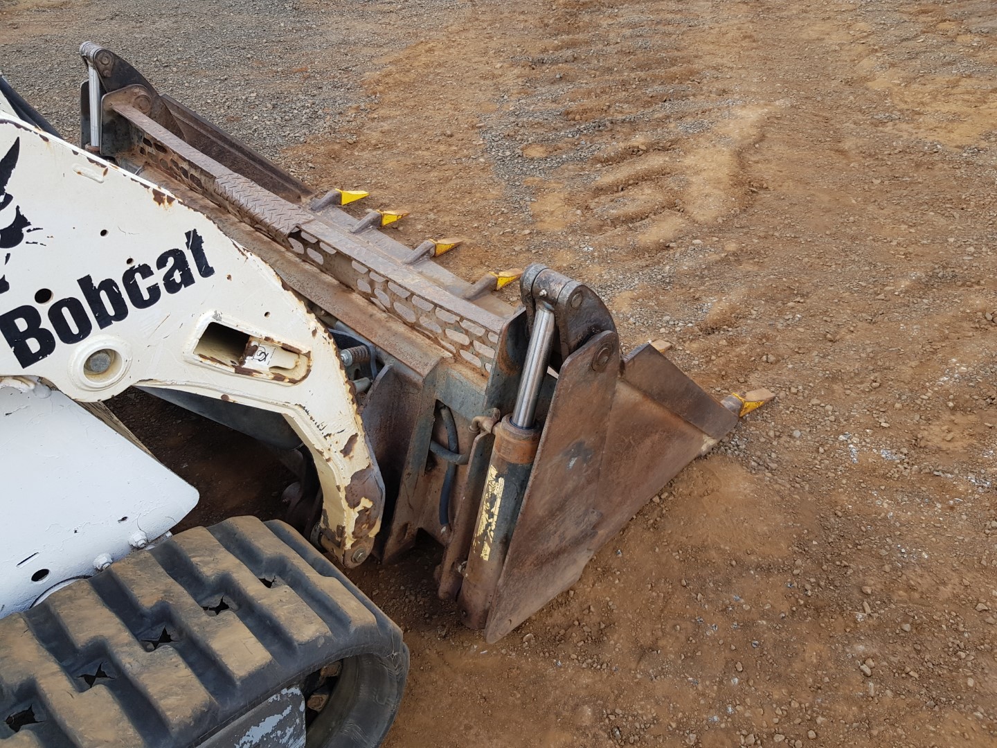 ZM008956_19.jpg